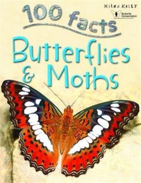 Butterflies and Moths, Paperback / softback Book