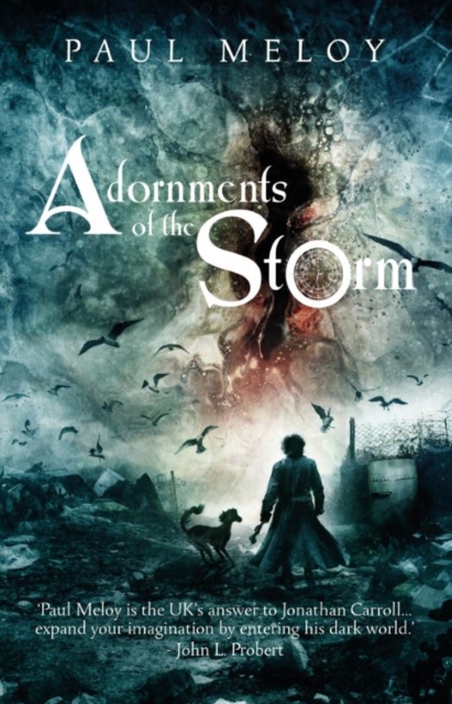 Adornments of the Storm, EPUB eBook