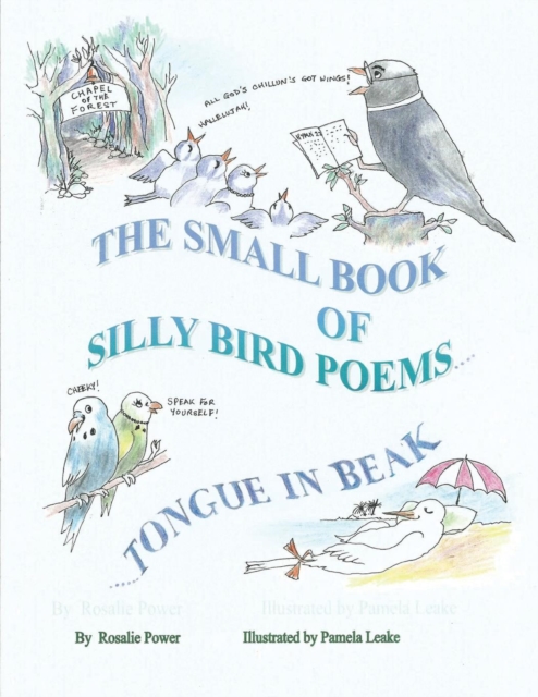 The Small Book of Silly Bird Poems : Tongue in Beak, Paperback / softback Book