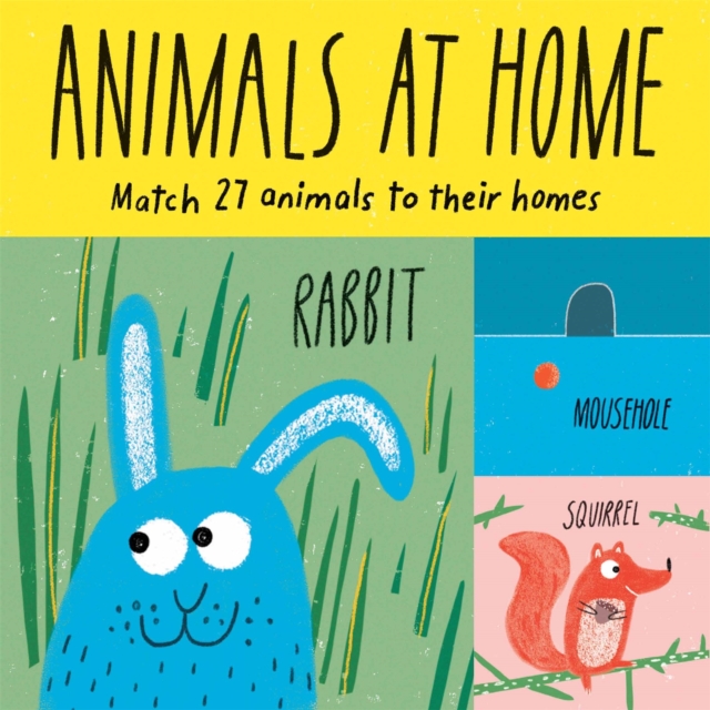 Animals at Home : Match 27 Animals to Their Homes, Cards Book