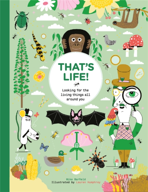 That's Life! : Looking for the Living Things All Around You, Hardback Book