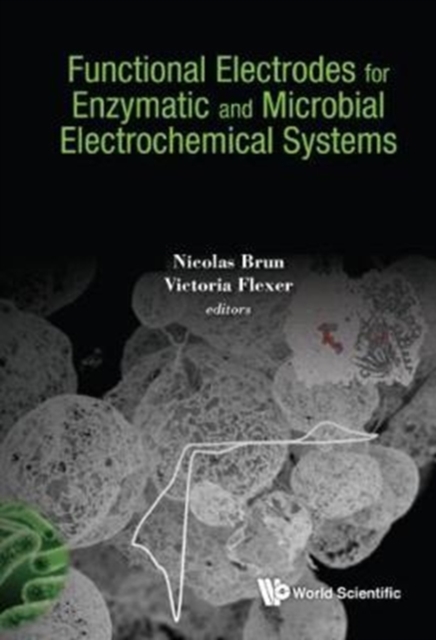 Functional Electrodes For Enzymatic And Microbial Electrochemical Systems, Hardback Book