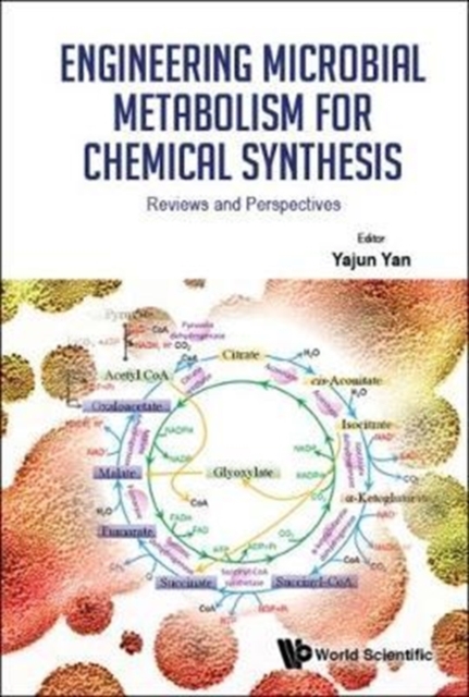Engineering Microbial Metabolism For Chemical Synthesis: Reviews And Perspectives, Hardback Book