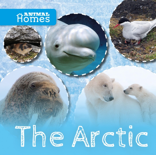 The Arctic, Hardback Book