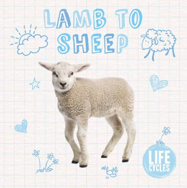Lamb to Sheep, Hardback Book