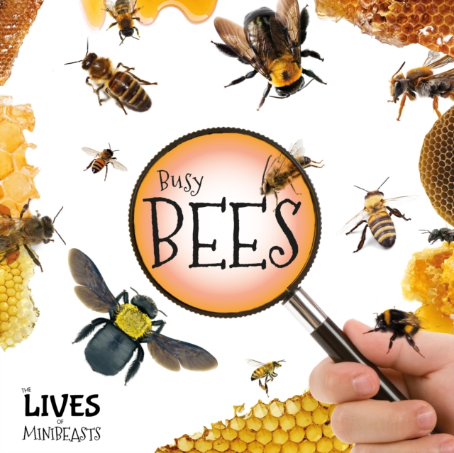 Busy Bees, Hardback Book