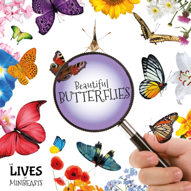 Beautiful Butterflies, Hardback Book