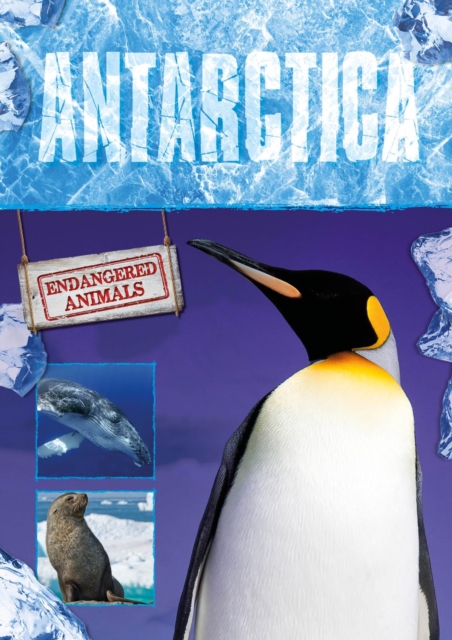 Antarctica, Hardback Book