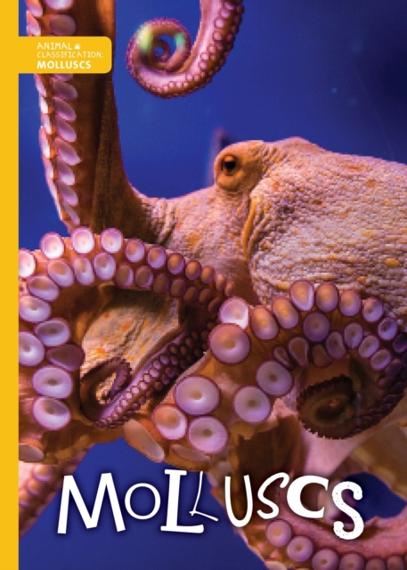 Molluscs, Paperback / softback Book