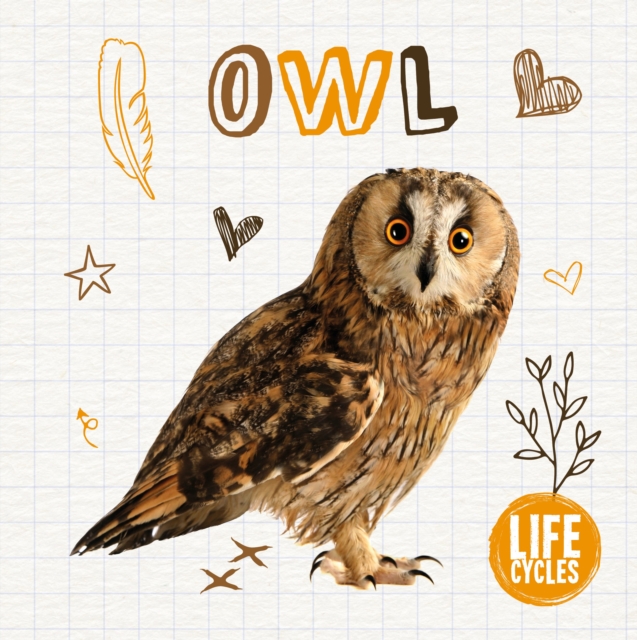 Owl, Hardback Book