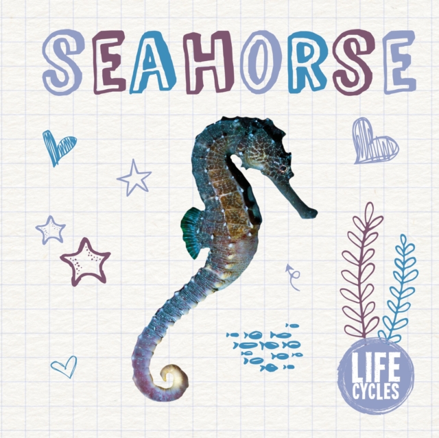 Seahorse, Hardback Book