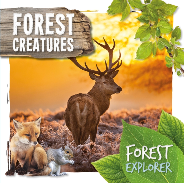 Forest Creatures, Hardback Book