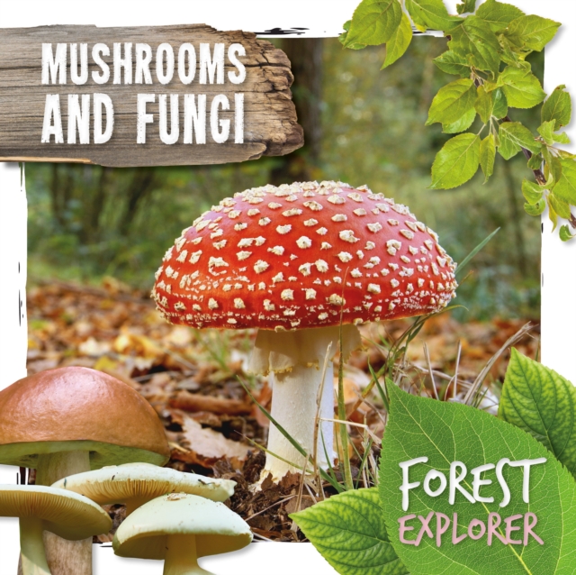 Mushrooms & Fungi, Hardback Book