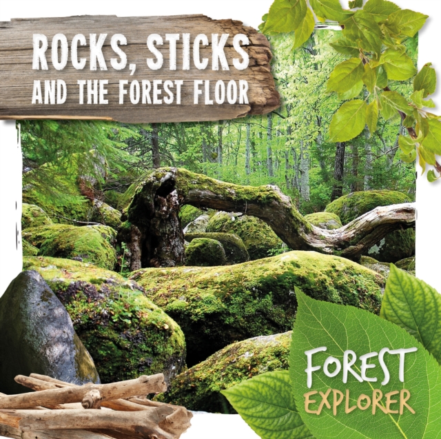 Rocks, Sticks & the Forest Floor, Hardback Book