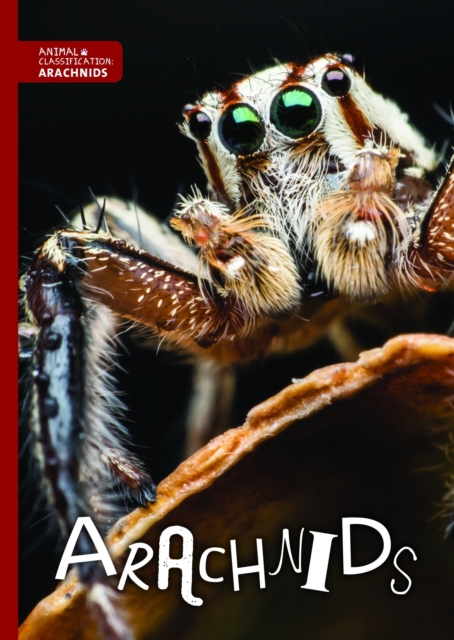 Arachnids, Hardback Book