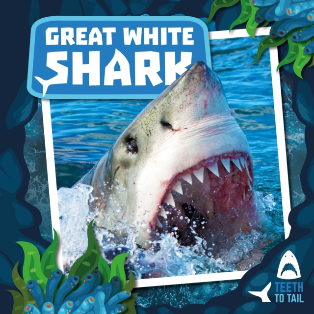 Great White Shark, Hardback Book