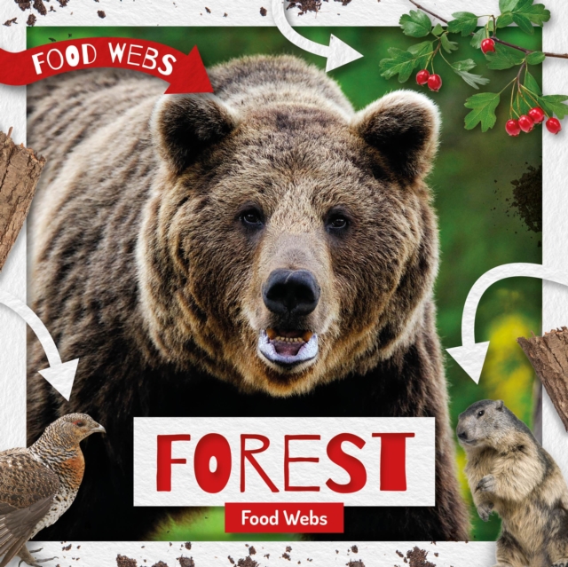 Forest Food Webs, Hardback Book