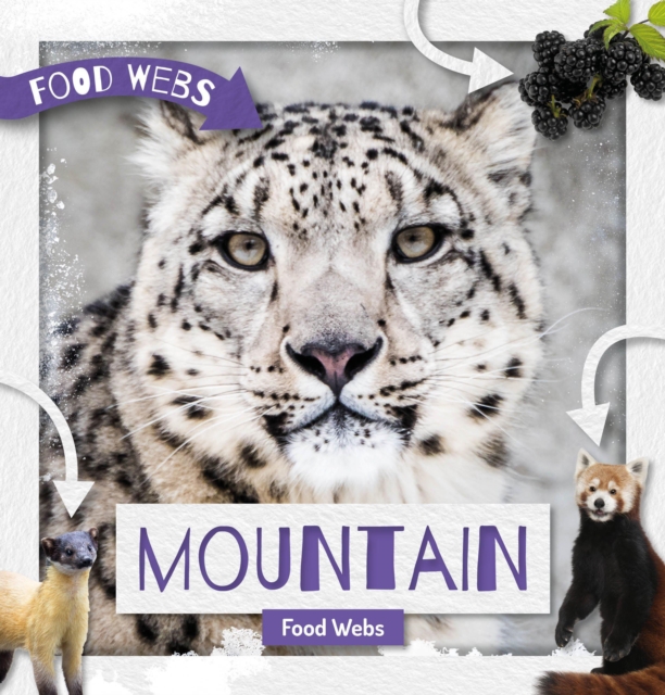 Mountain Food Webs, Hardback Book