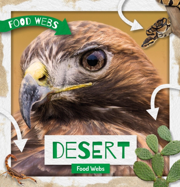 Desert Food Webs, Hardback Book