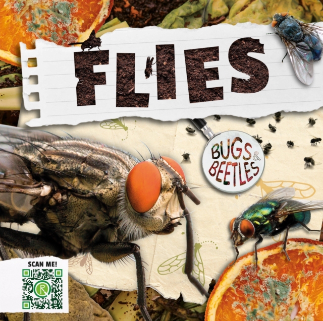 Flies, Hardback Book