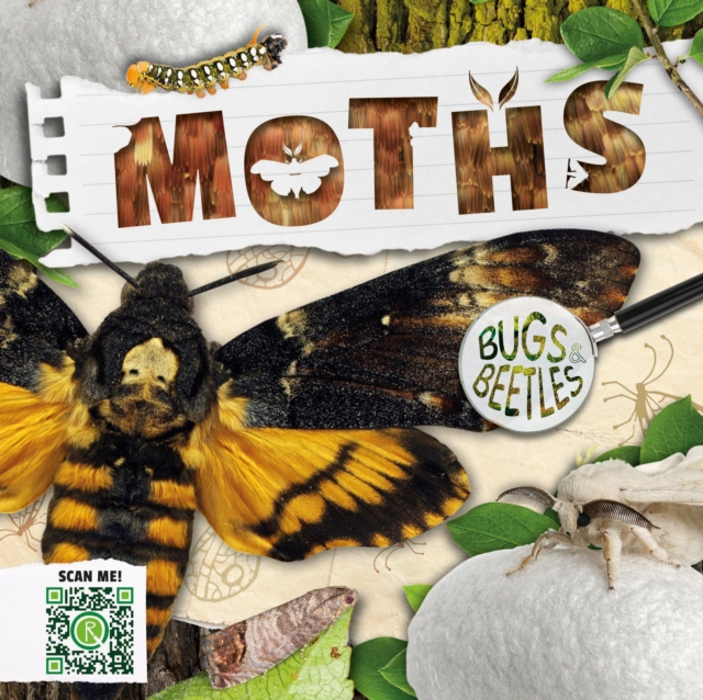 Moths, Hardback Book