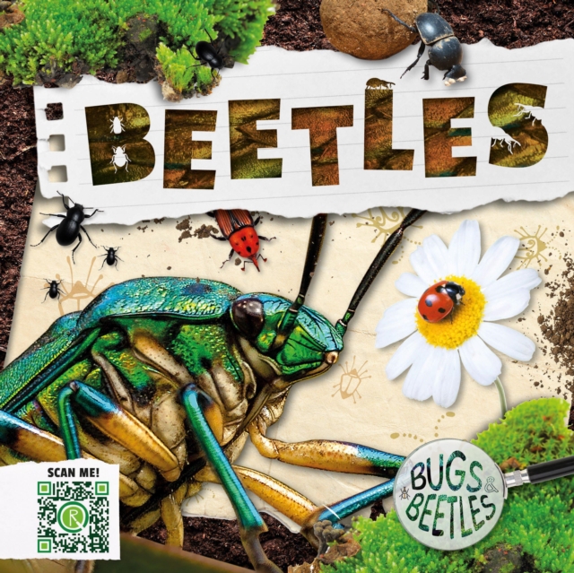 Beetles, Hardback Book