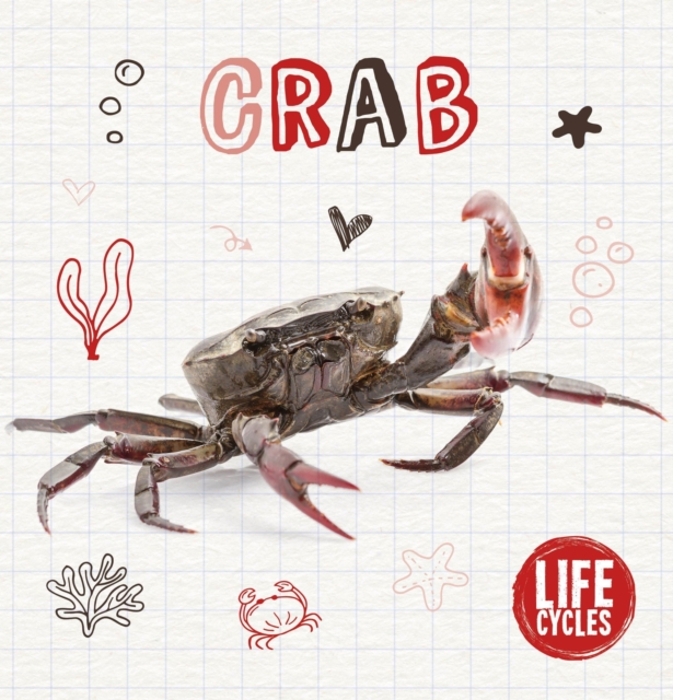 Crab, Hardback Book