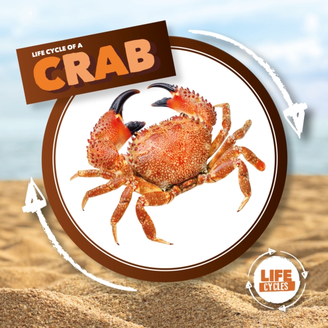 Crab, Hardback Book