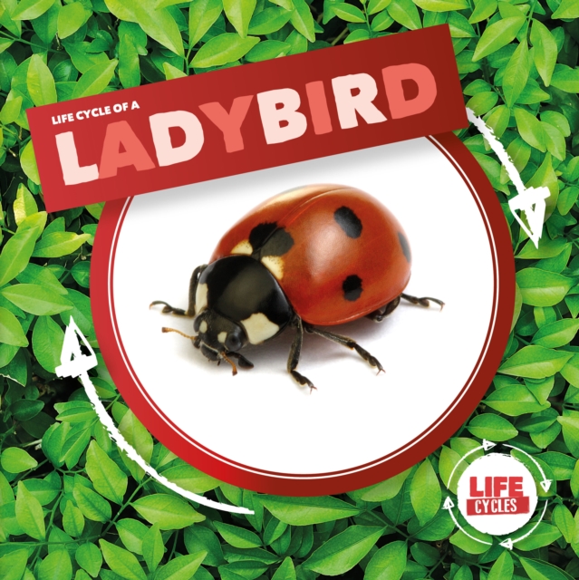 Ladybird, Hardback Book
