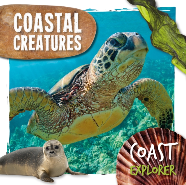Coastal Creatures, Hardback Book