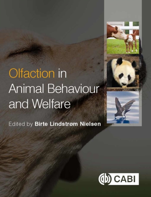 Olfaction in Animal Behaviour and Welfare, Paperback / softback Book