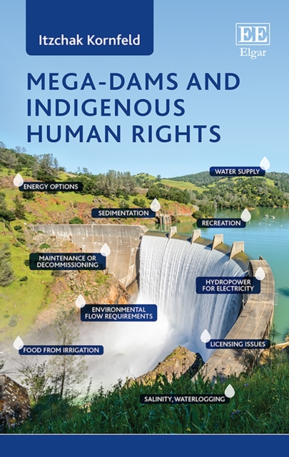 Mega-Dams and Indigenous Human Rights, PDF eBook