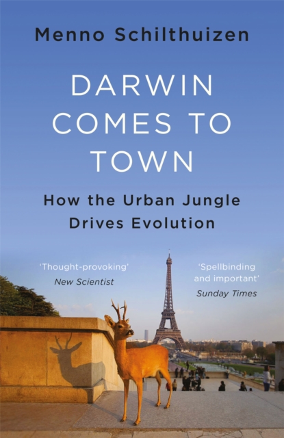 Darwin Comes to Town, Paperback / softback Book