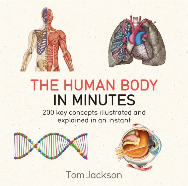 The Human Body in Minutes, Paperback / softback Book
