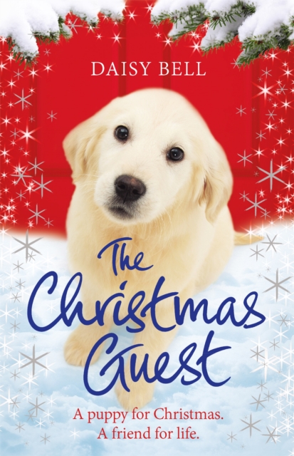 The Christmas Guest : A heartwarming tale to curl up with by the fire, Paperback / softback Book