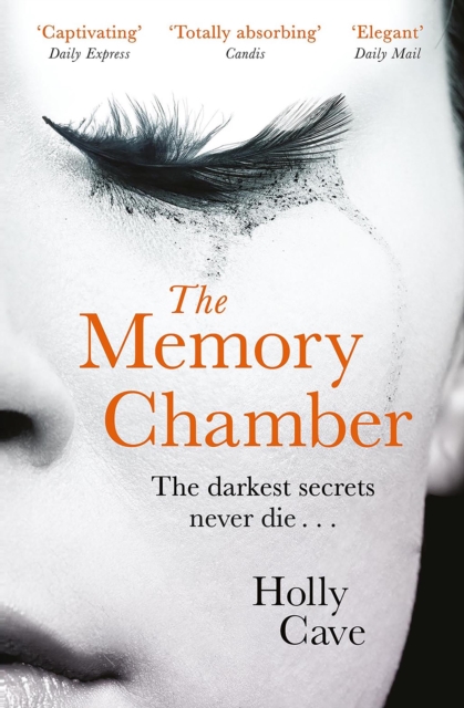 The Memory Chamber : An elegant tale of love and loss, EPUB eBook