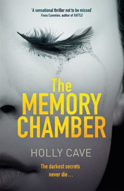 The Memory Chamber, Hardback Book