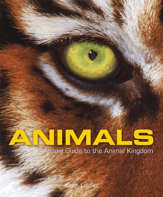 Animals : A Visual Guide to the Animal Kingdom, Hardback Book