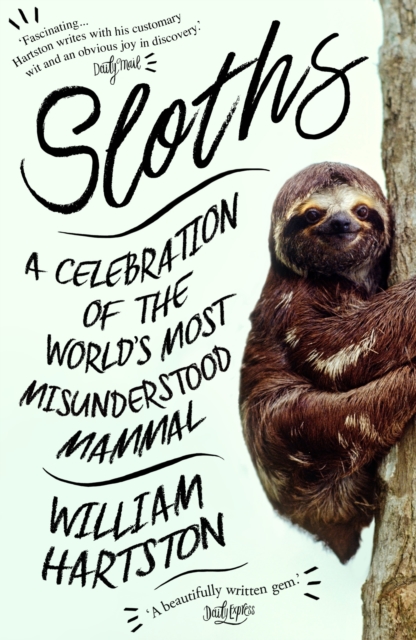 Sloths : A Celebration of the World’s Most Misunderstood Mammal, Paperback / softback Book