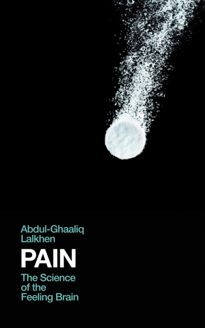 Pain : The Science of the Feeling Brain, Hardback Book