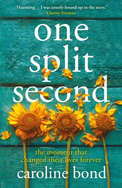 One Split Second : A thought-provoking novel about the limits of love and our astonishing capacity to heal, EPUB eBook