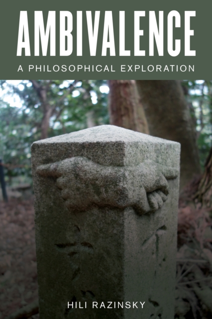 Ambivalence : A Philosophical Exploration, Hardback Book