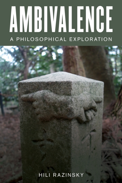 Ambivalence : A Philosophical Exploration, Paperback / softback Book