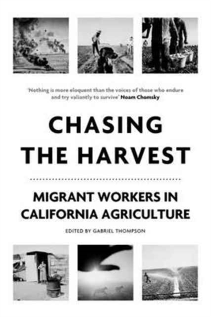 Chasing the Harvest : Migrant Workers in California Agriculture, Hardback Book