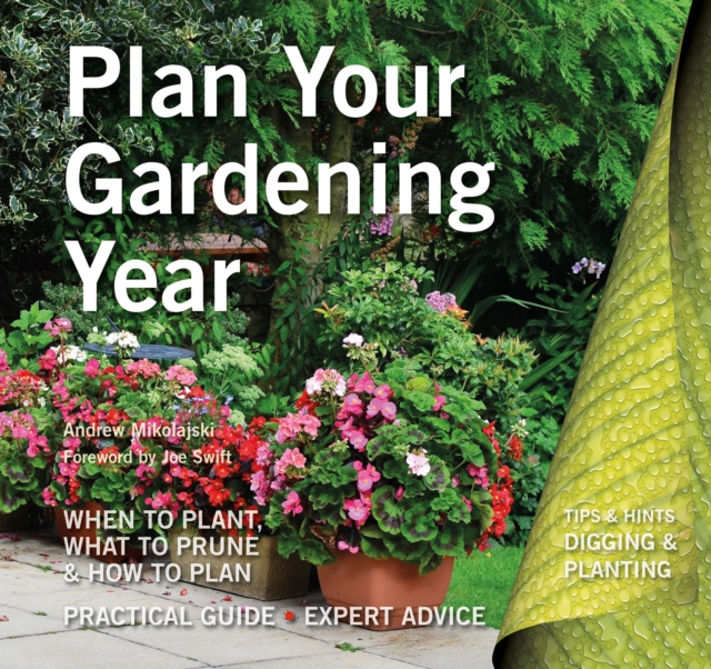 Plan Your Gardening Year : Plan, Plant and Maintain, Paperback / softback Book