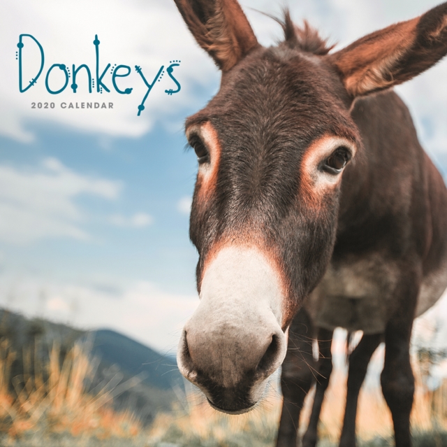 Donkeys Square Wall Calendar 2020, Calendar Book