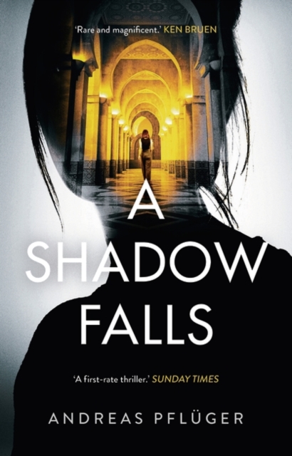 A Shadow Falls, Hardback Book