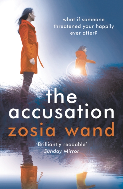 The Accusation, Paperback / softback Book
