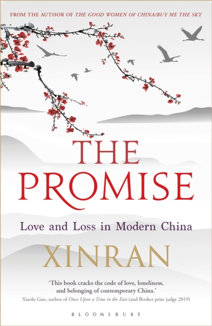 The Promise : Love and Loss in Modern China, PDF eBook