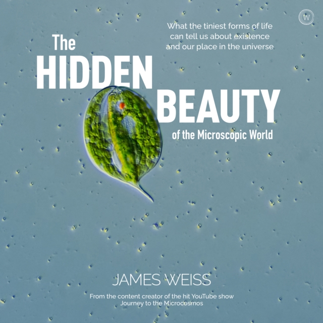 Hidden Beauty of the Microscopic World, EPUB eBook